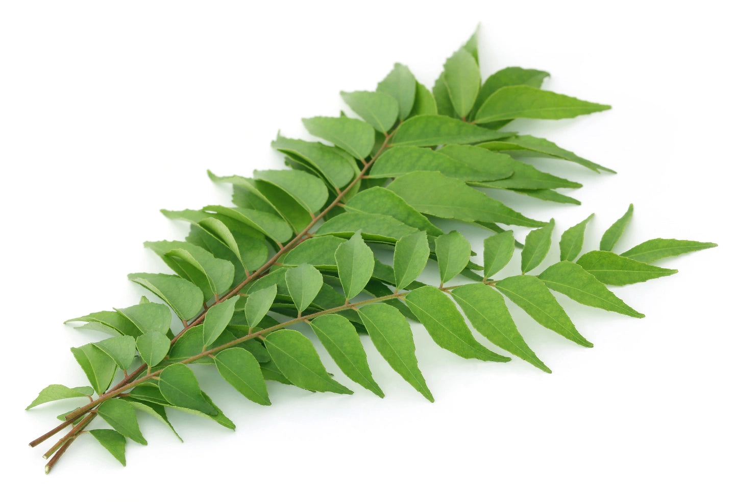 Curry Leaves 100g(3.5oz)